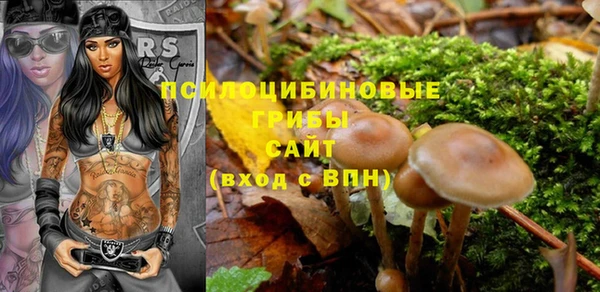 спайс Пролетарск