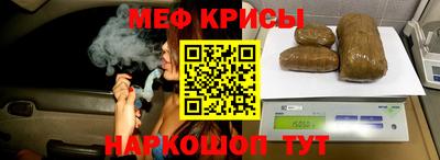 spice Кингисепп