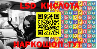 spice Кингисепп