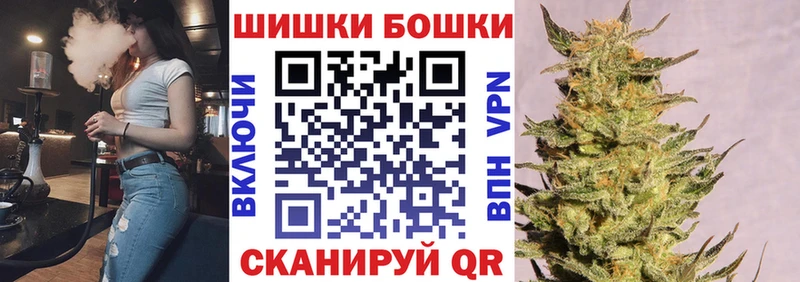 omg как войти  как найти   Кохма  Бошки марихуана сатива 